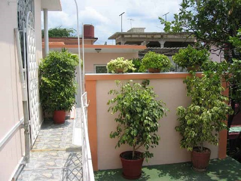 'Terrace' Casas particulares are an alternative to hotels in Cuba.